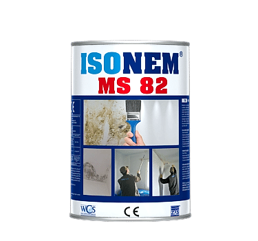 MS 82